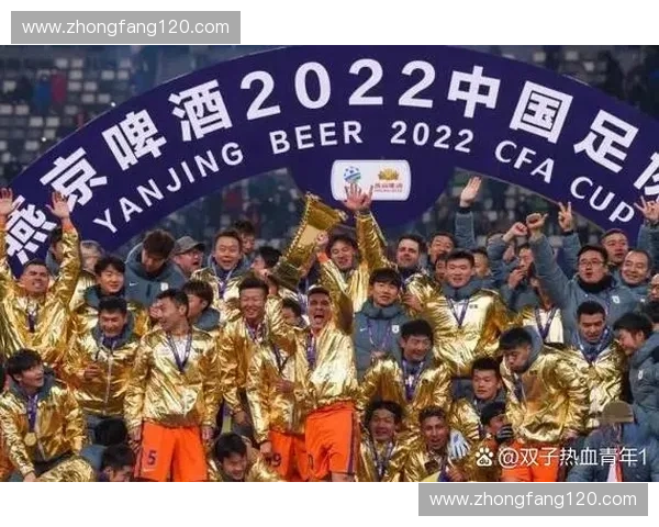 2025年湖北省足协杯赛程安排全面解析精彩赛事即将开启